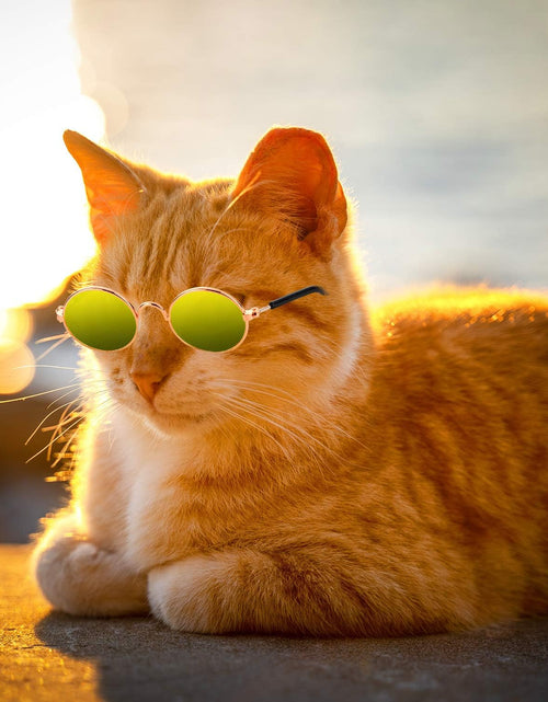 Load image into Gallery viewer, 10 Pieces Cat Dog Sunglasses Funny Pet Glasses round Metal Cat Classic Retro Sunglasses Pet Hippie Cute Dog Cat Cosplay Party Costume Photo Props Cosplay Glasses (Mixed Color)
