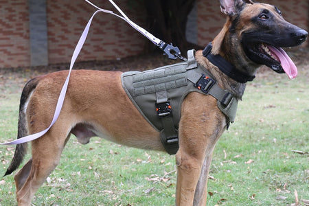 Tactical Dog Harness with 4X Metal Buckle,Dog MOLLE Vest with Handle,No Pulling Front Clip ,Hook and Loop Panel for Walking Training Hiking (Large (Pack of 1), Reflective Black)