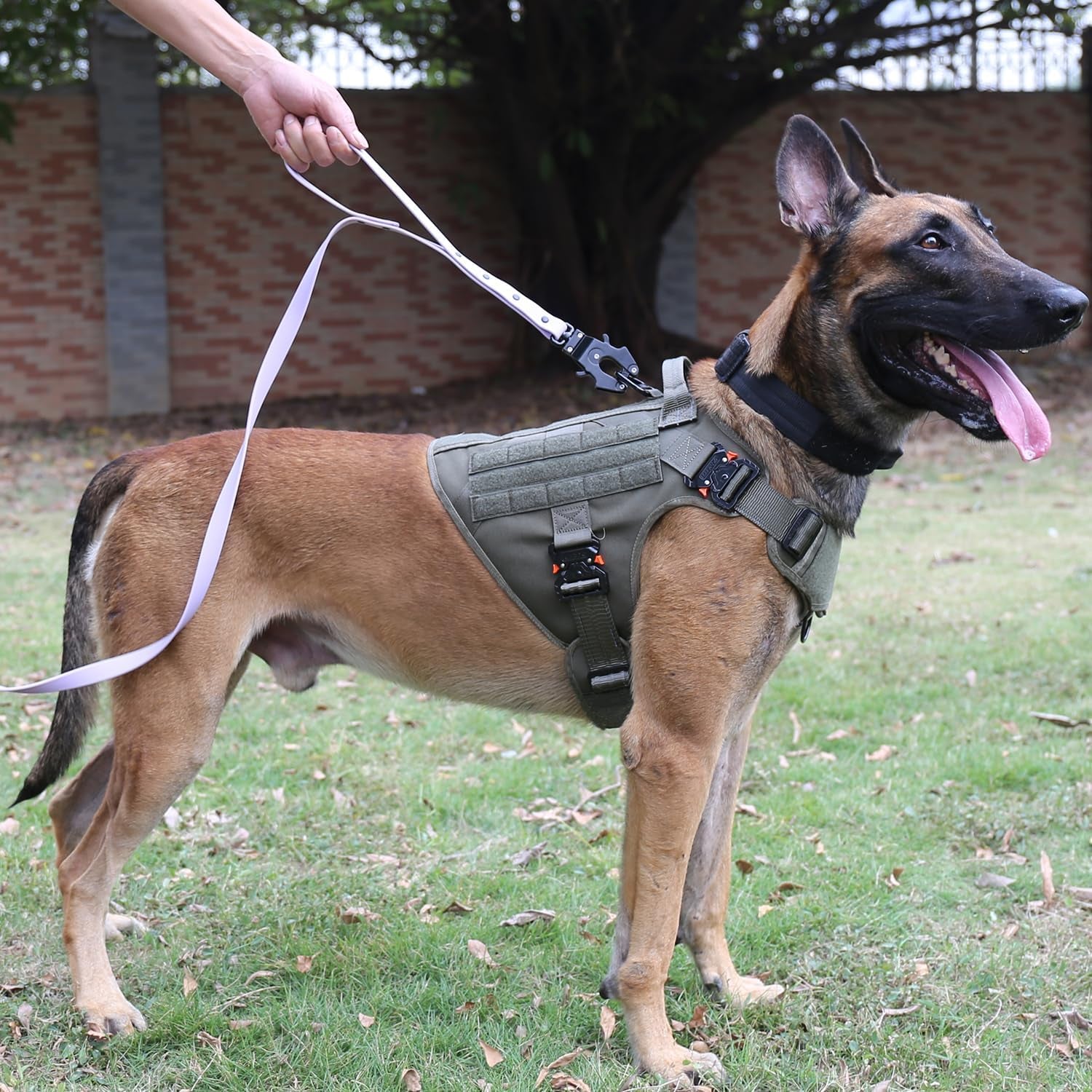 Tactical Dog Harness with 4X Metal Buckle,Dog MOLLE Vest with Handle,No Pulling Front Clip ,Hook and Loop Panel for Walking Training Hiking (Large (Pack of 1), Reflective Black)