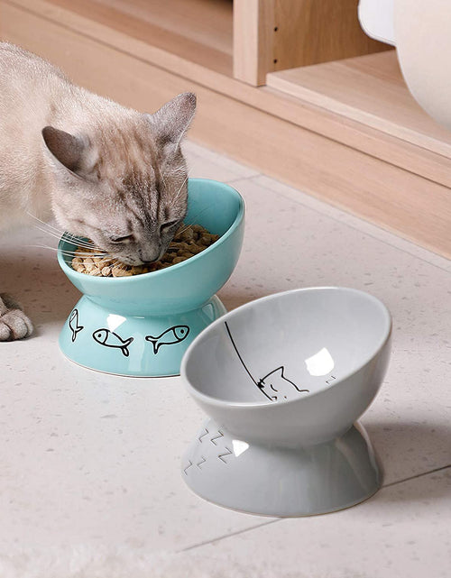 Load image into Gallery viewer, Raised Cat Bowl for Dry Wet Cat Food, Ceramic Elevated Pet Bowl Cat Dish, Protect Cat'S Spine, Stress Free, Slanted Design for Cat Easy Eating, 10 Oz, Dishwasher Safe (Grey)
