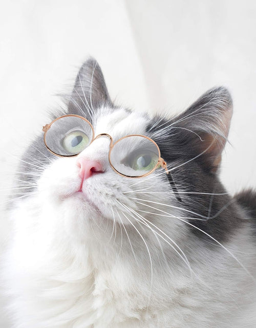 Load image into Gallery viewer, 10 Pieces Cat Dog Sunglasses Funny Pet Glasses round Metal Cat Classic Retro Sunglasses Pet Hippie Cute Dog Cat Cosplay Party Costume Photo Props Cosplay Glasses (Mixed Color)
