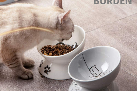 Raised Cat Bowl for Dry Wet Cat Food, Ceramic Elevated Pet Bowl Cat Dish, Protect Cat'S Spine, Stress Free, Slanted Design for Cat Easy Eating, 10 Oz, Dishwasher Safe (Grey)