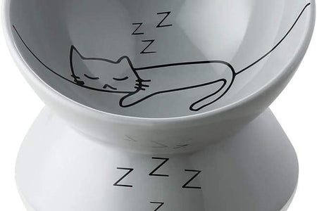 Raised Cat Bowl for Dry Wet Cat Food, Ceramic Elevated Pet Bowl Cat Dish, Protect Cat'S Spine, Stress Free, Slanted Design for Cat Easy Eating, 10 Oz, Dishwasher Safe (Grey)